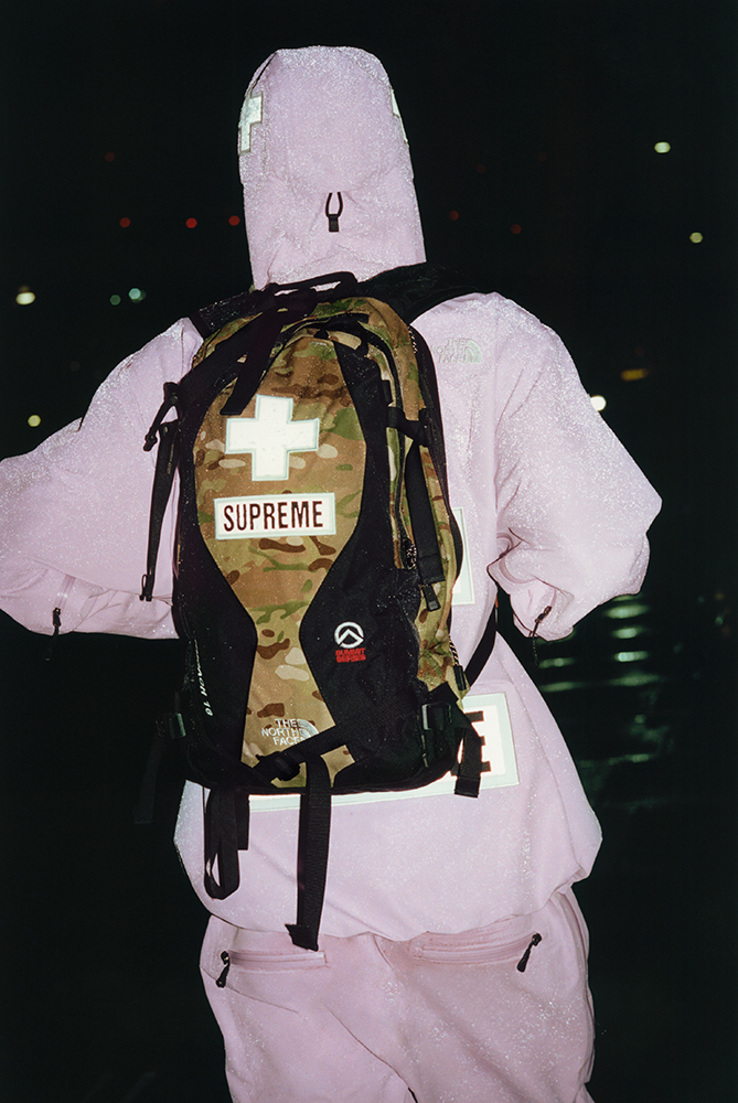 Supreme The North Face Spring