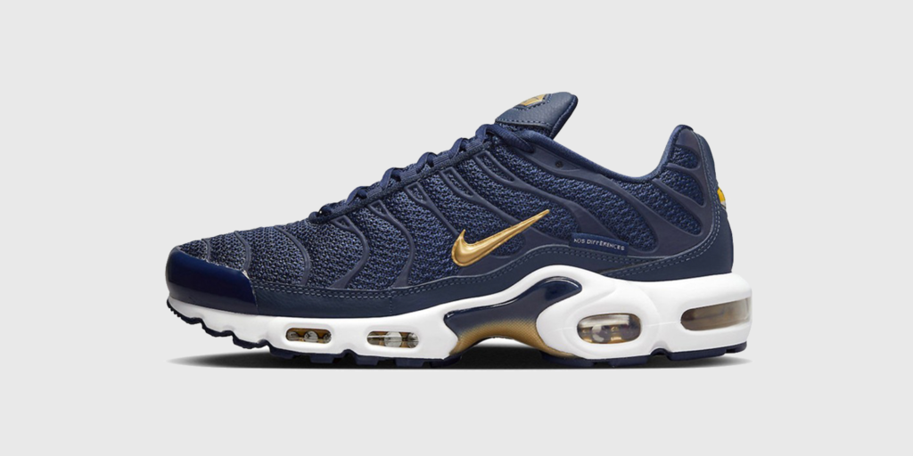 Nike Air Max Plus Tn Fédération française de football